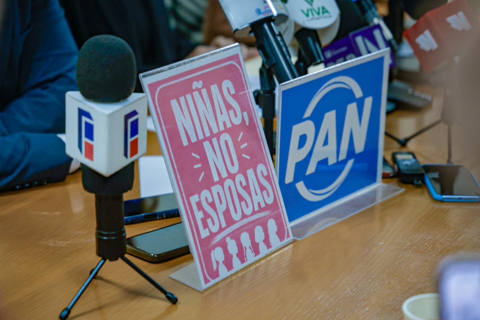 Promoventes de iniciativa en el Congreso
