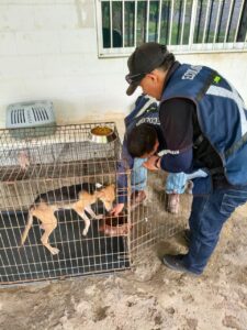 Rescatan a perrito de maltrato animal en Mazatlán