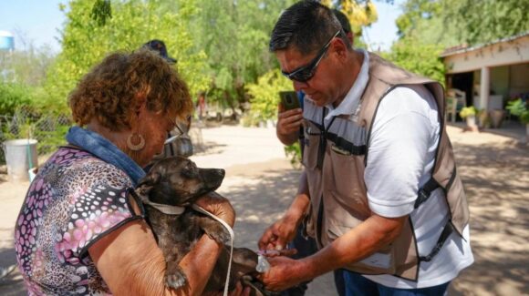 Sonora suma 74 casos y 32 muertes por fiebre manchada en 2026