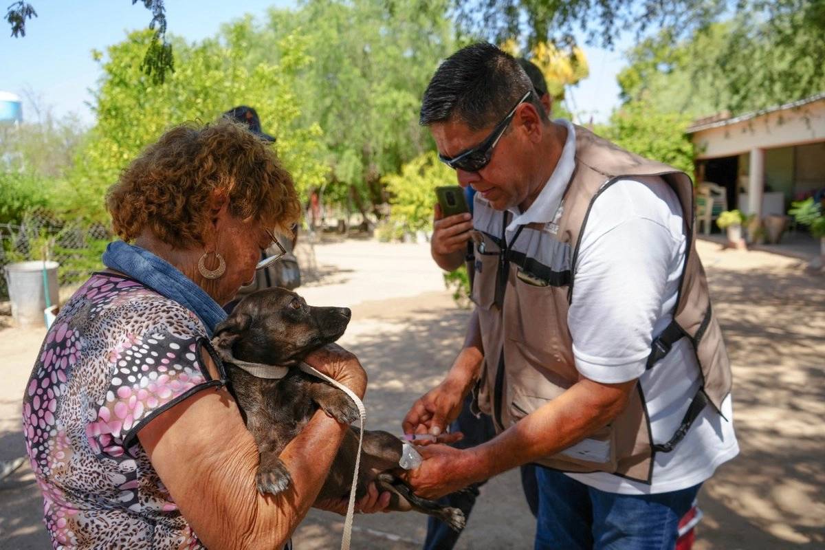 Sonora suma 74 casos y 32 muertes por fiebre manchada en 2026