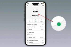 WhatsApp prepara nuevo indicador de conexión con puntos verdes en iPhone