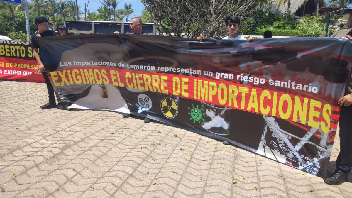 acuacultores toman acciones en mazatlan ante contrabando de camaron ecuatoriano a mexico exigen