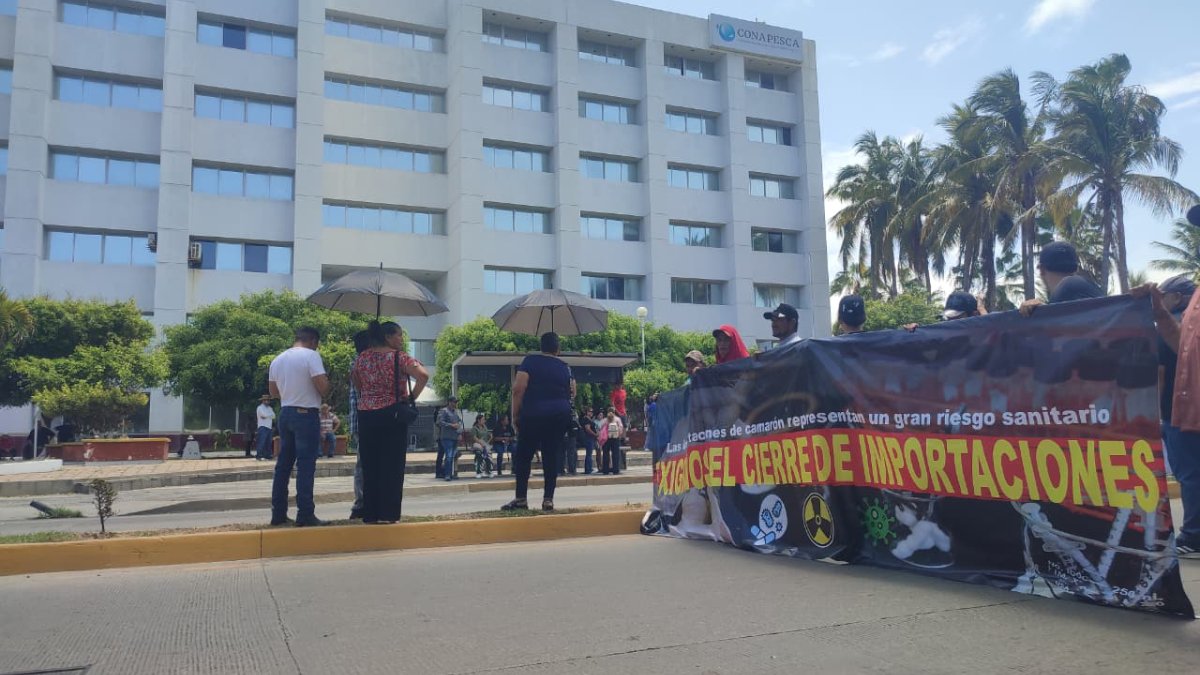 acuacultores toman acciones en mazatlan ante contrabando de camaron ecuatoriano a mexico lugar