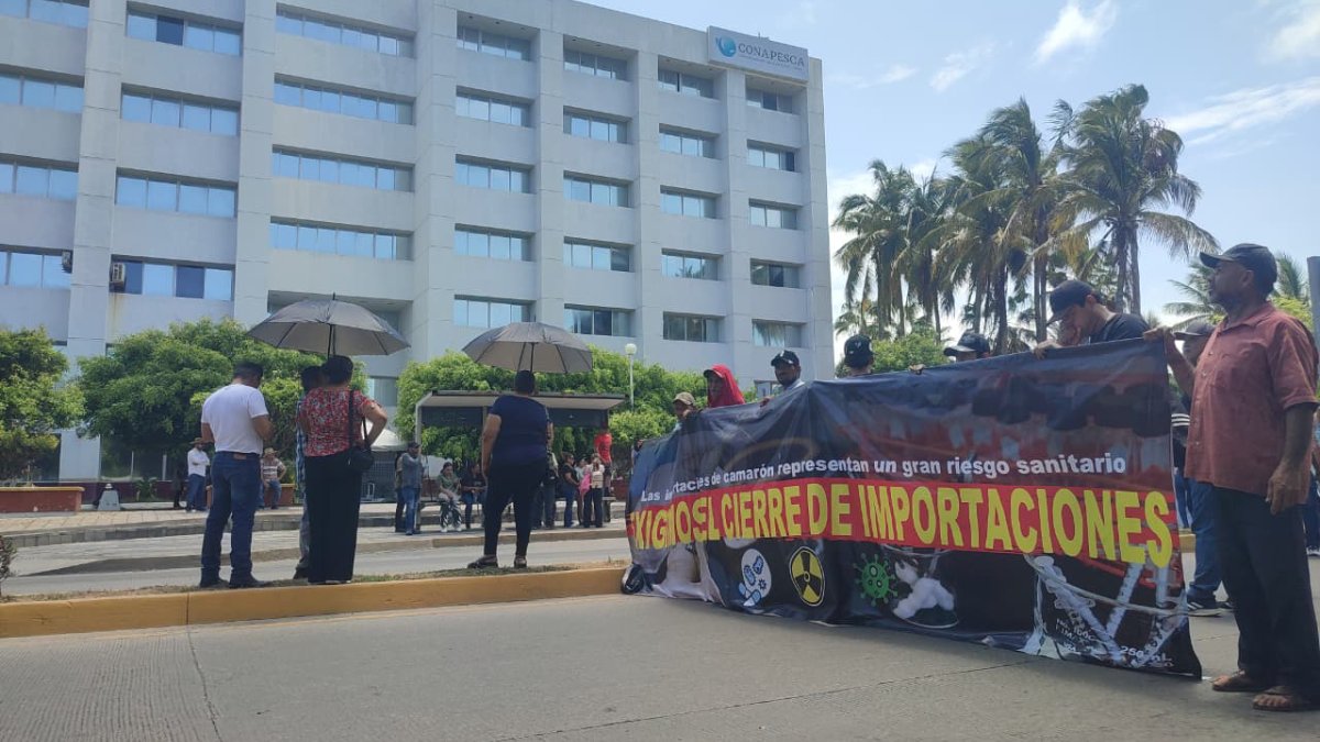 acuacultores toman acciones en mazatlan ante contrabando de camaron ecuatoriano a mexico manifestacion