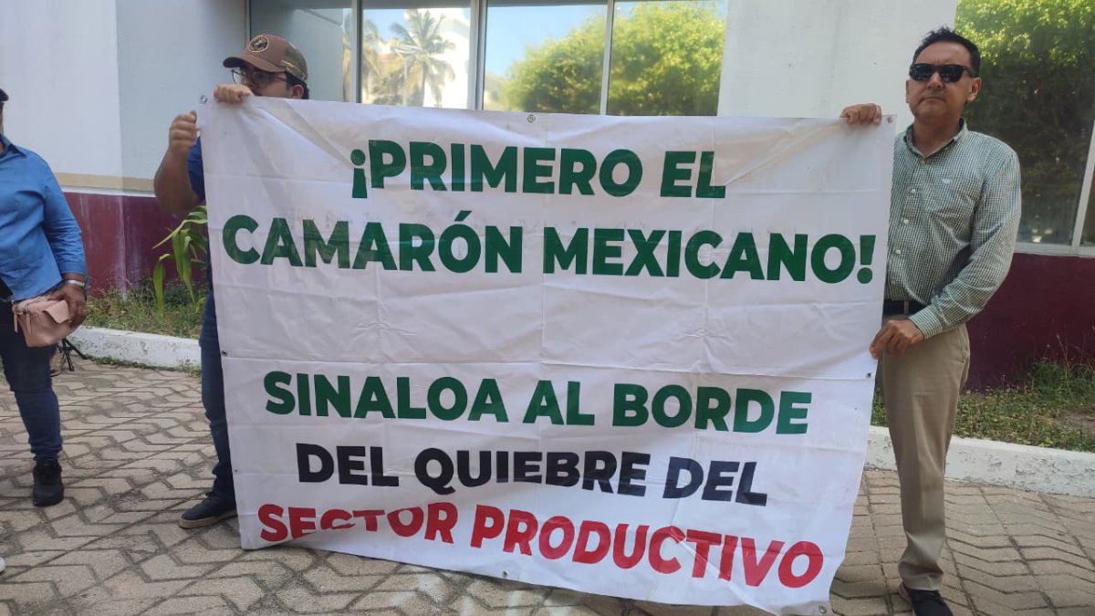 acuacultores toman acciones en mazatlan ante contrabando de camaron ecuatoriano a mexico sector