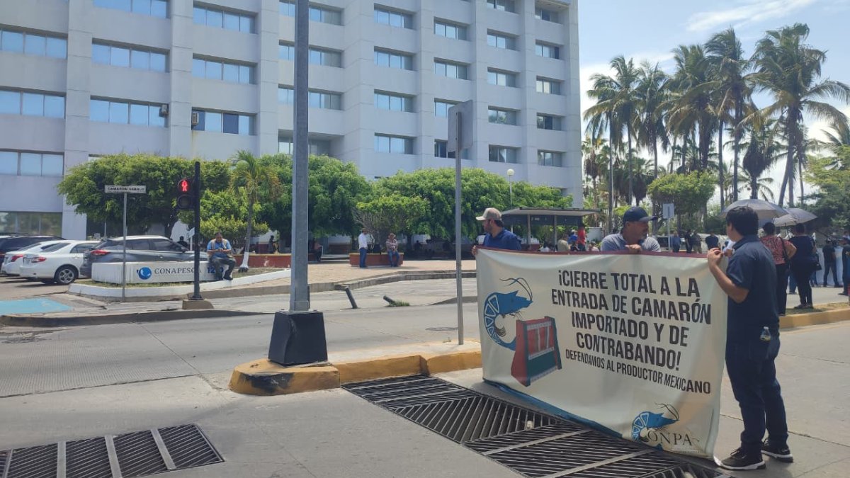 acuacultores toman acciones en mazatlan ante contrabando de camaron ecuatoriano a mexico