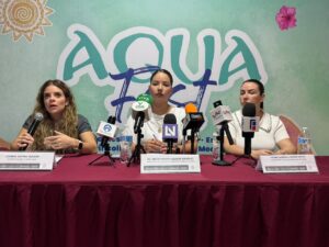 Aqua Fest y Bazar Bienestar Integral llegarán este domingo a Plaza Cuatro Ríos en Culiacán