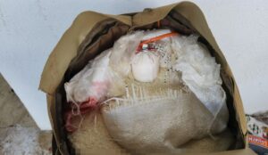 Desactivan presuntos explosivos en el sur de Sinaloa