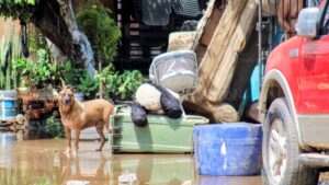 ayuntamiento levantara censo de familias afectadas por las lluvias en mazatlan sin