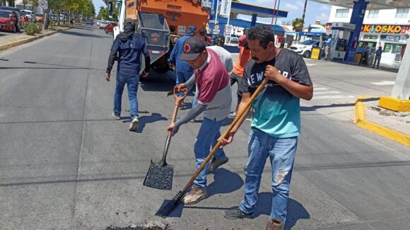 Inicia Ayuntamiento de Ahome bacheo con carpeta asfáltica en el bulevar Antonio Rosales
