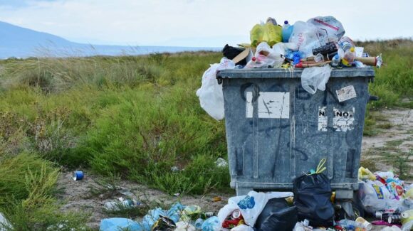 Día Internacional Libre de Bolsas de Plástico: un llamado a reducir su uso