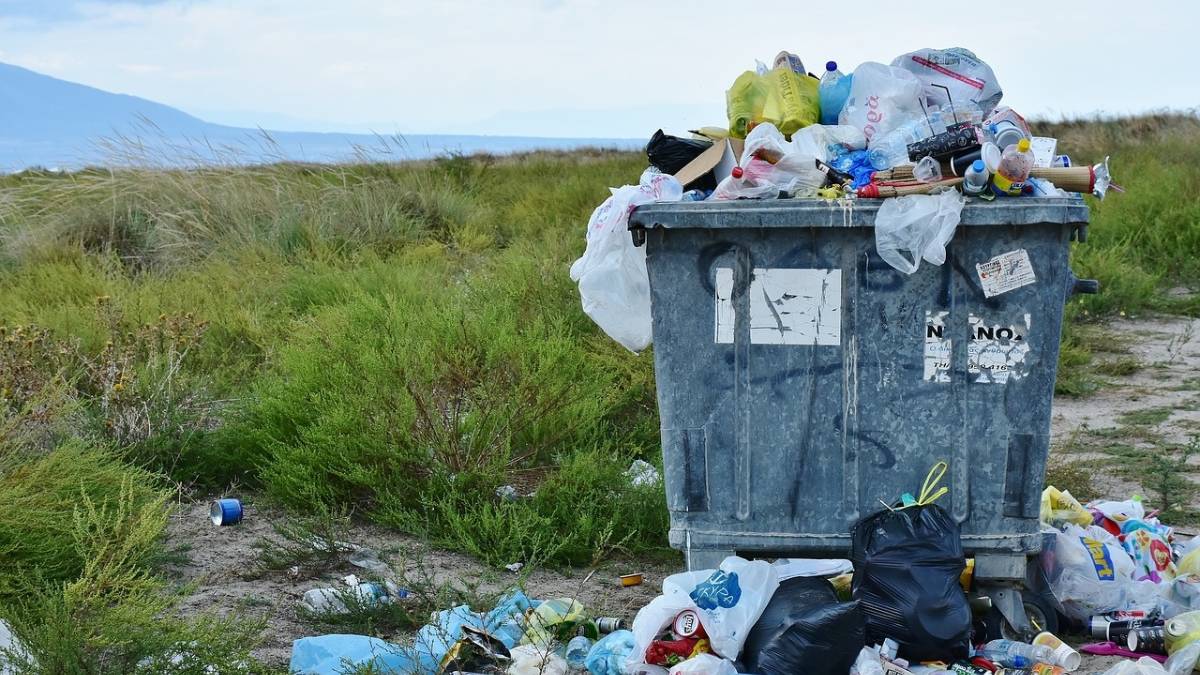 Día Internacional Libre de Bolsas de Plástico: un llamado a reducir su uso