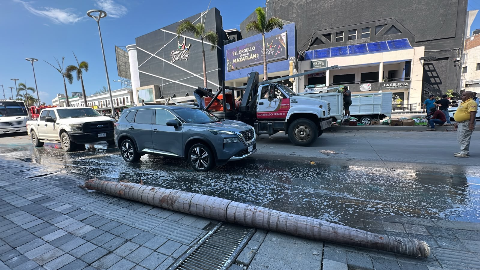 Camioneta se impacta contra palmera y luminaria en Zona Dorada de Mazatlán