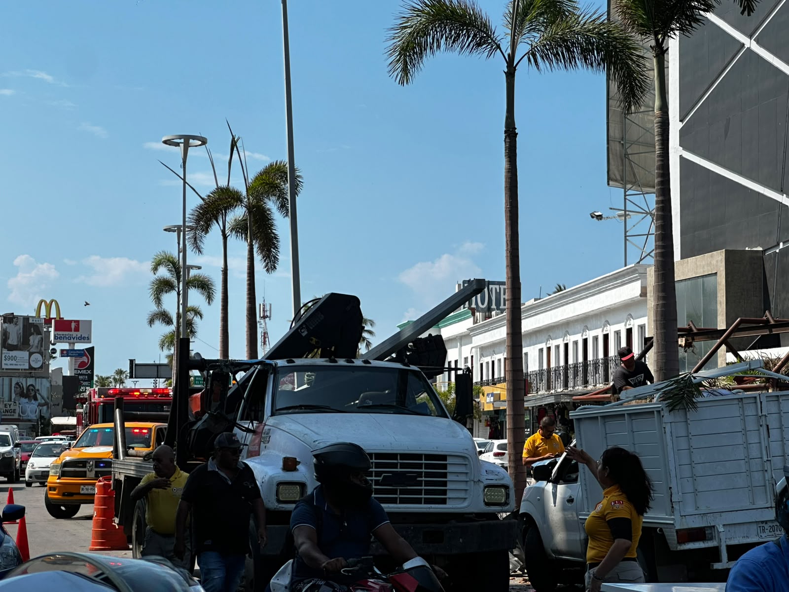 Camioneta se impacta contra palmera y luminaria en Zona Dorada de Mazatlán