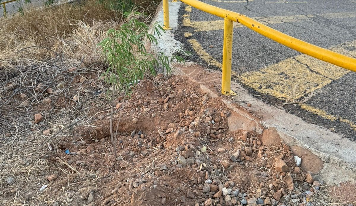Club Legión MTB de Los Mochis iniciará campaña de reforestación en el Cerro de la Memoria.