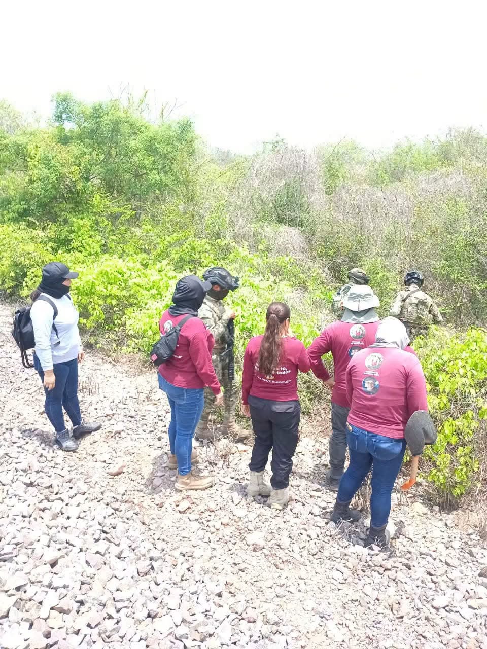Familias buscadoras regresan de Rosario, Sinaloa