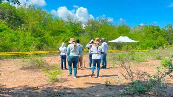 Culmina levantamiento de restos óseos encontrados en Elota por buscadoras, sigue el procesamiento: Vicefiscalía Zona Sur de Sinaloa