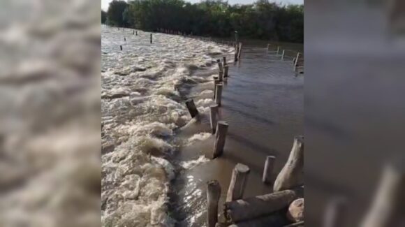 Crecida del río Presidio golpea a campo pesquero de El Ostial, pero revive la ilusión de una buena temporada de camarón en Mazatlán, Sinaloa