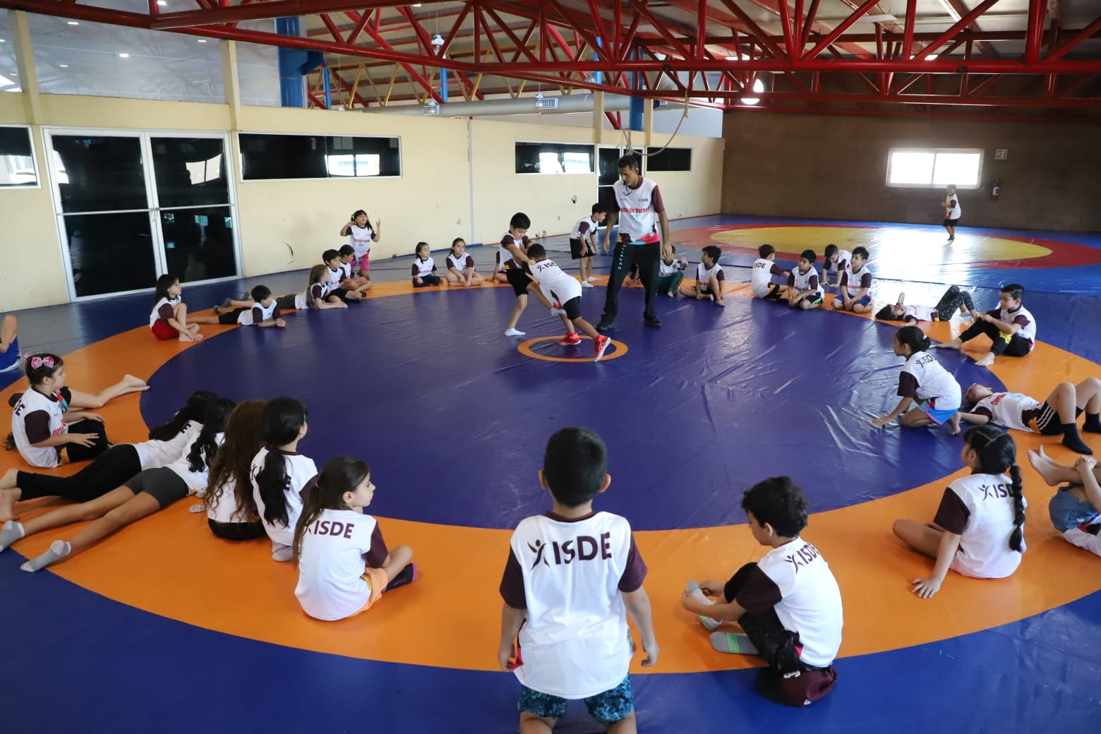 Curso de Verano ISDE