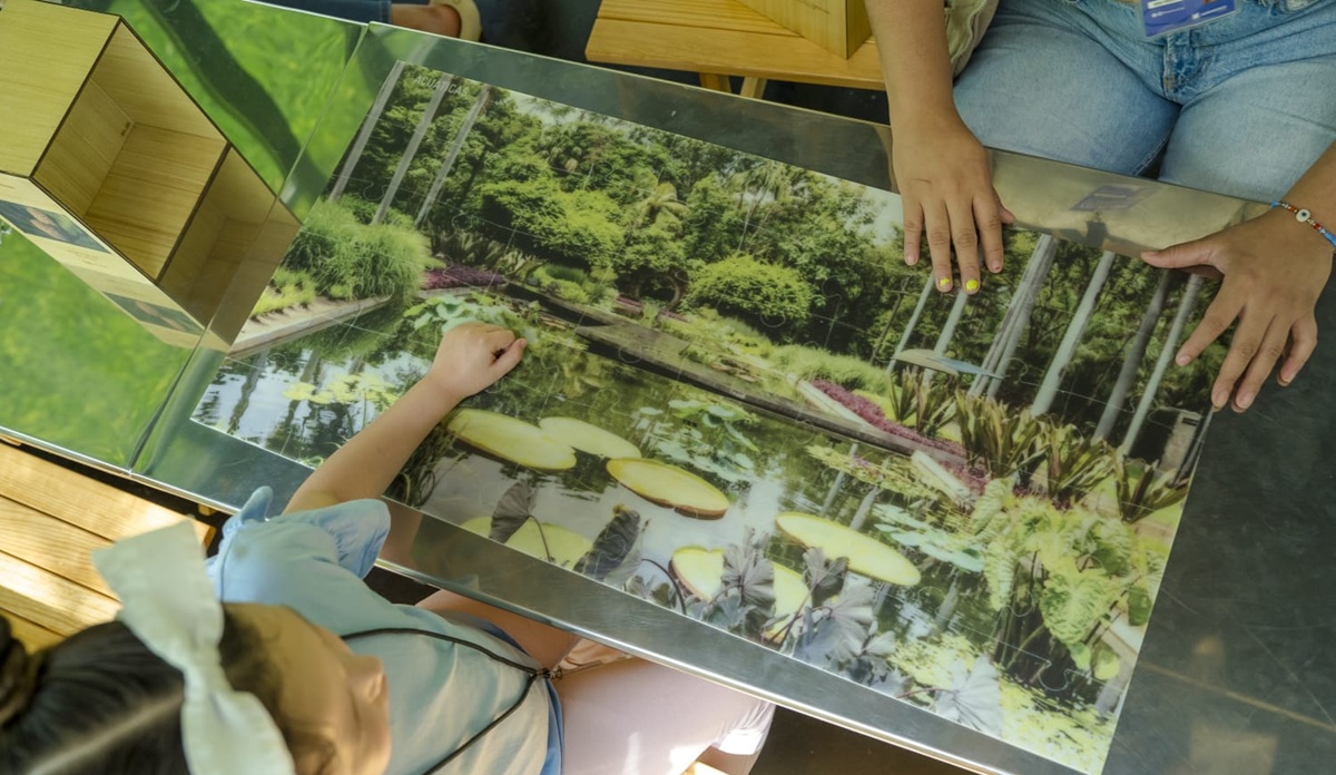 Curso de Verano en el Jardín Botánico Culiacán