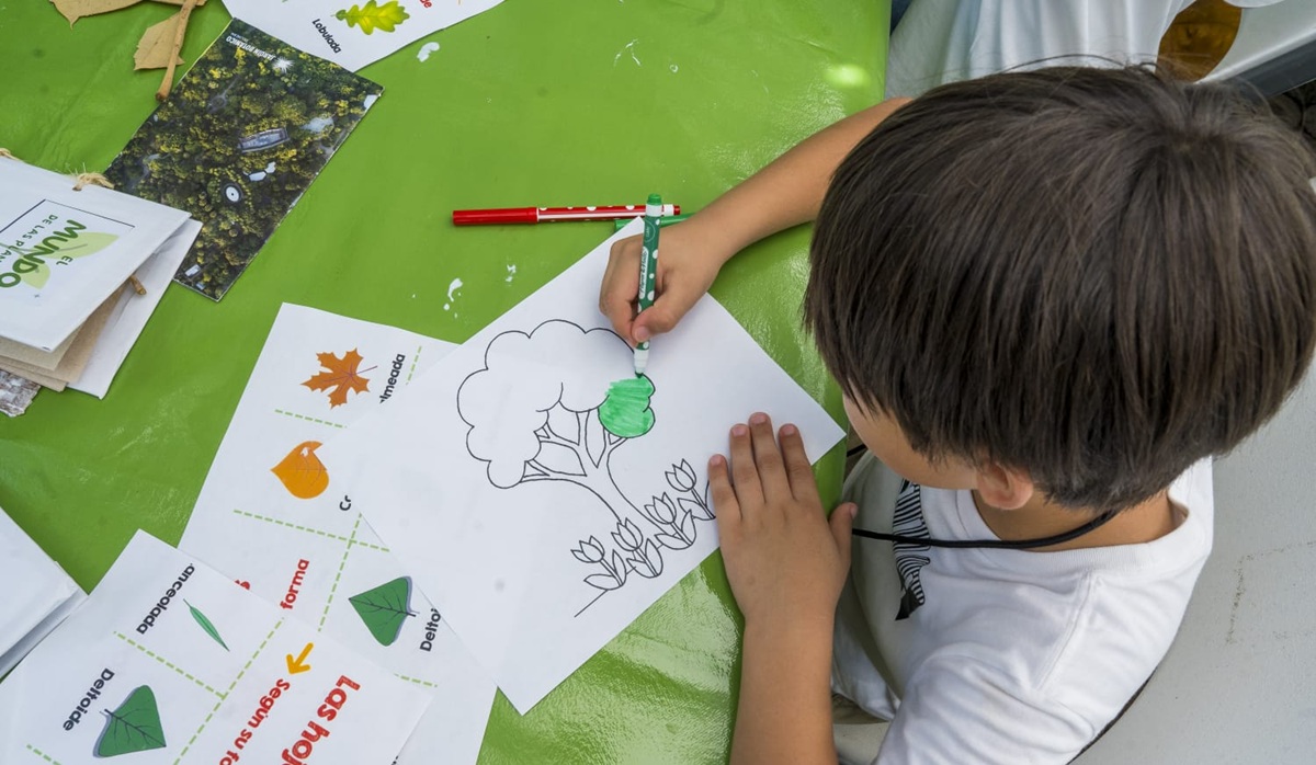 Curso de Verano en el Jardín Botánico Culiacán