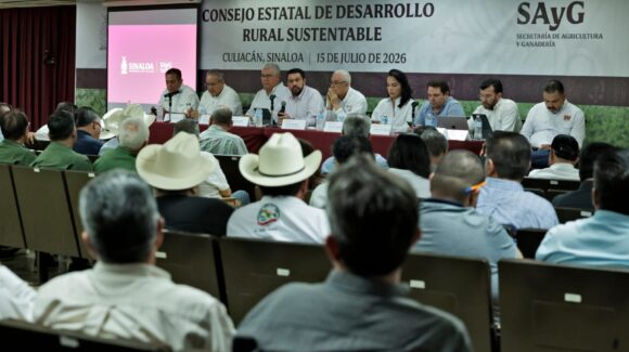 Proyectan siembra del ciclo Otoño-Invierno 2026-2027 de 813 mil 599 hectáreas en Sinaloa