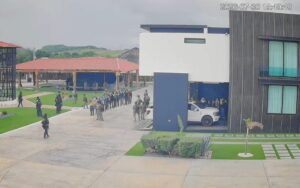 detenidos con el yukito