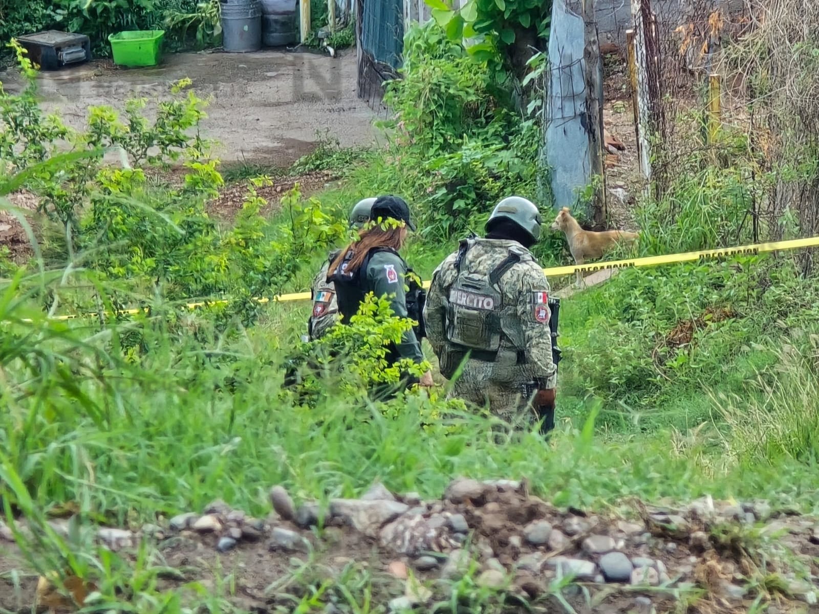 Ejecutan a un hombre de la colonia Las Coloradas de Culiacán