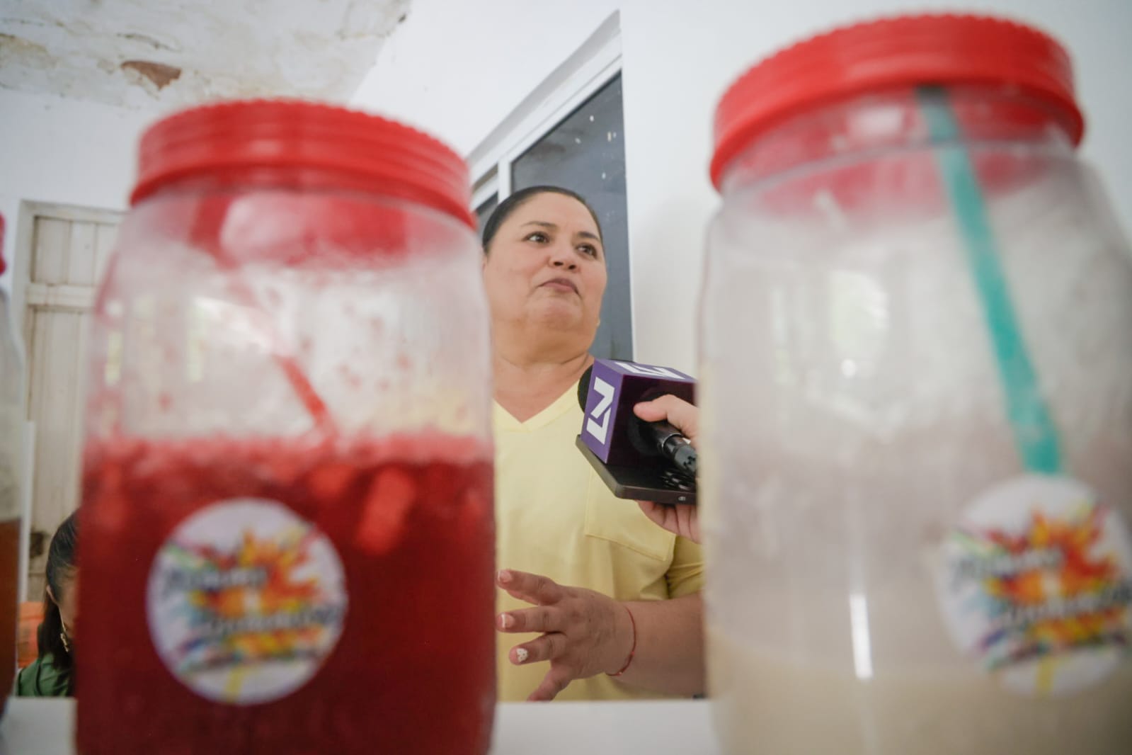 Ana Miriam Ramos entrega apoyos a Mujeres Emprendedoras en El Tamarindo