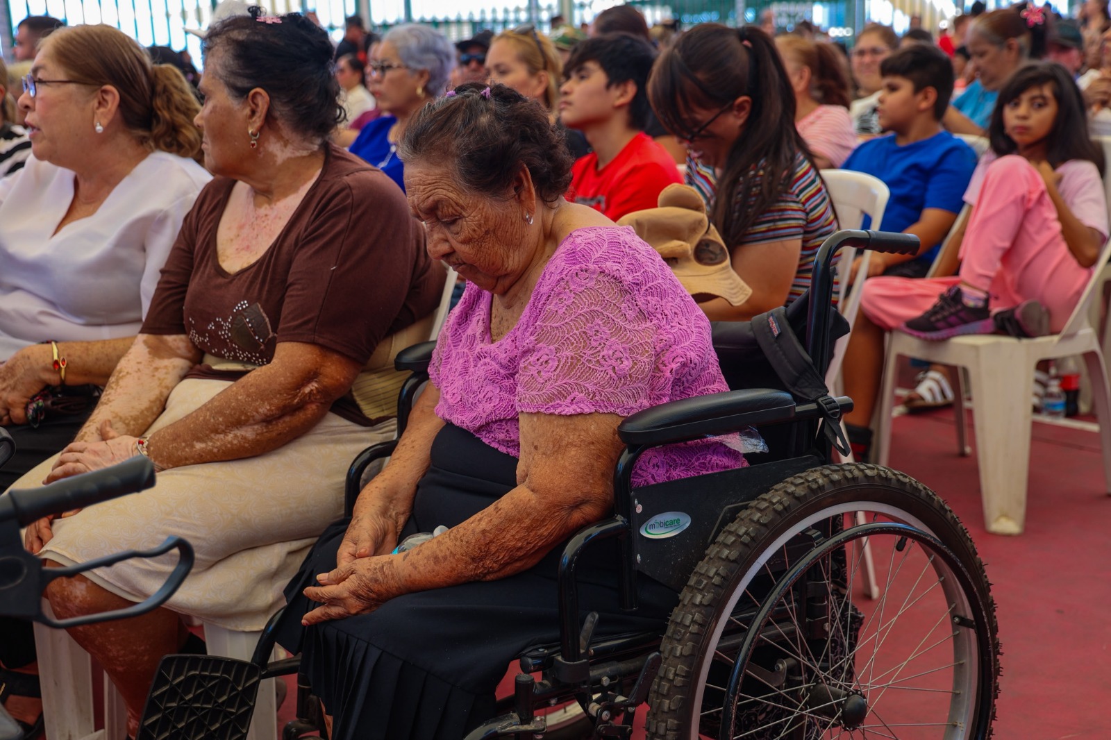 Programa gratuito de Sebides supera expectativas