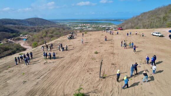 ‘Espero que no hayan destruido este santuario’, exdirectora de Ecología ante incendios en basurón de Mazatlán, Sinaloa