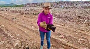 exdirectora de ecologia revive la transformacion del basuron de mazatlan sinaloa