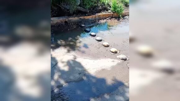 Fuga de agua cumple más de 10 días sin ser reparada; vecinos acusan omisión de Jumapag en Guasave, Sinaloa