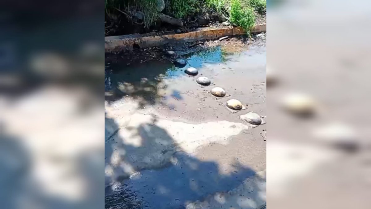 fuga de agua cumple mas de 10 dias sin ser reparada en guasave