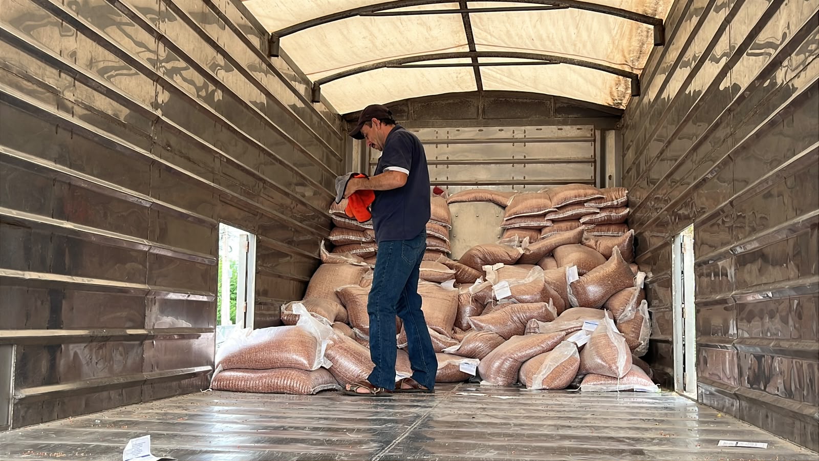 Entregan 168 costales de semilla de sorgo a 32 ganaderos de Guasave