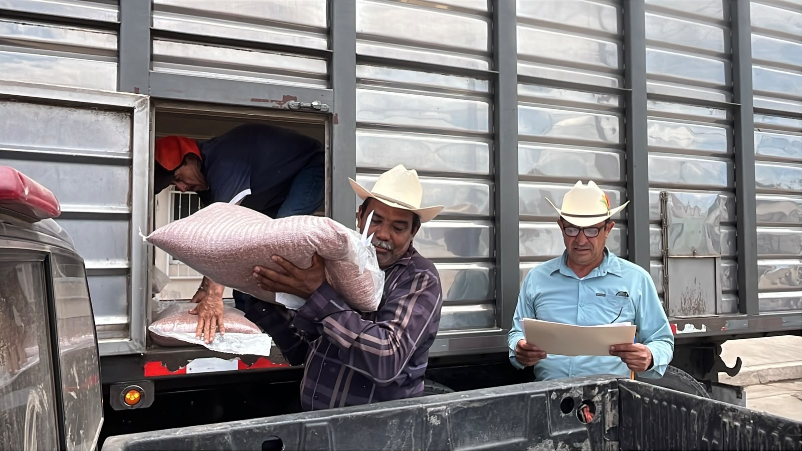 Entregan 168 costales de semilla de sorgo a 32 ganaderos de Guasave