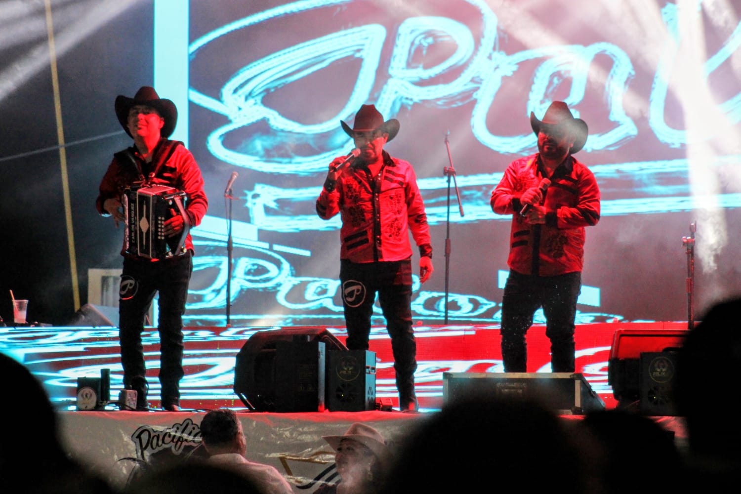Grupo Palomo
