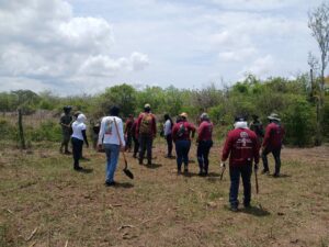 Hallan cuatro cuerpos en Elota, Sinaloa