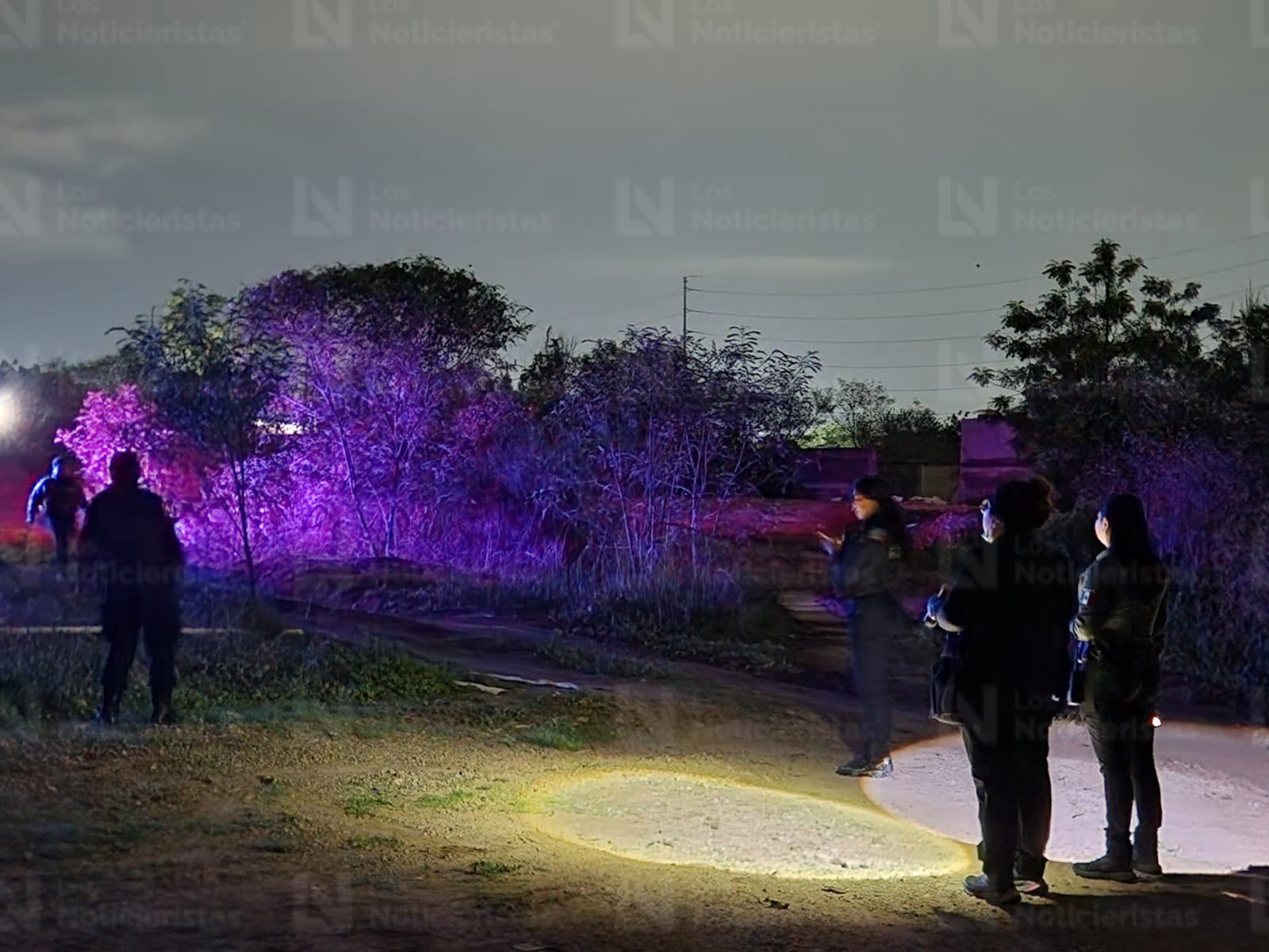 Hallan huesos humanos en Bosques del Rey, Culiacán