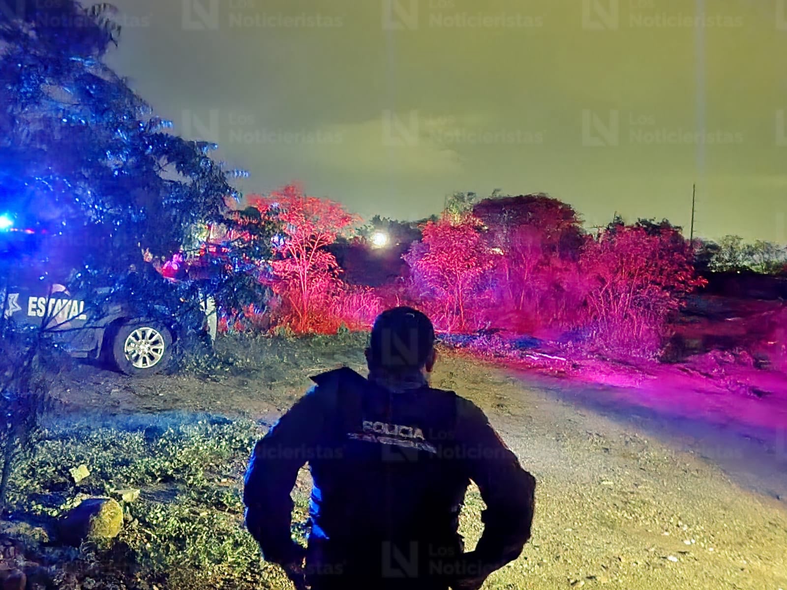 Hallan huesos humanos en Bosques del Rey, Culiacán