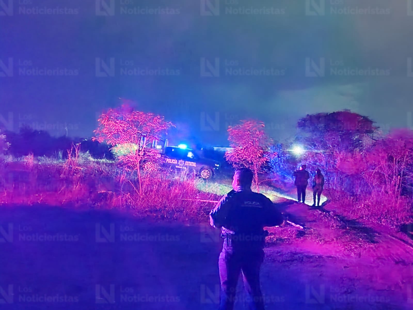 Hallan huesos humanos en Bosques del Rey, Culiacán