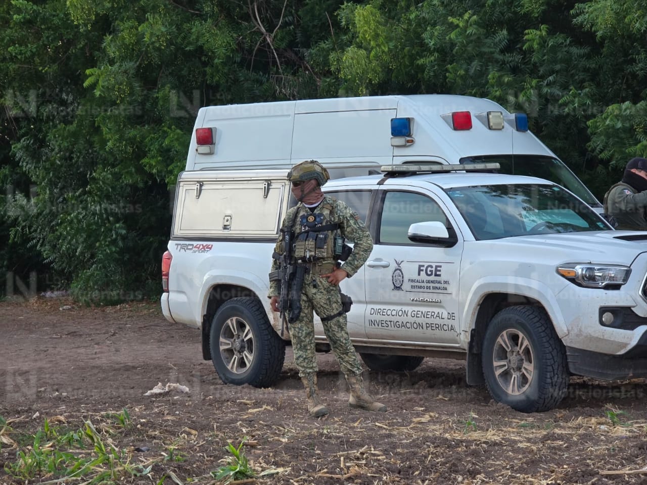 Localizan el cadáver de un hombre en Villa Juárez, Navolato