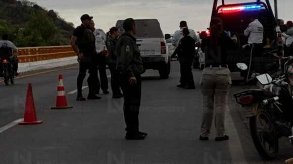 Adulto mayor queda sin vida  tras ser atacado por abejas en San Miguel Zapotitlán en Ahome, Sinaloa