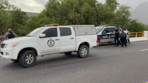 Adulto queda sin vida en San Miguel Zapotitlán, tras ser atacado por abejas