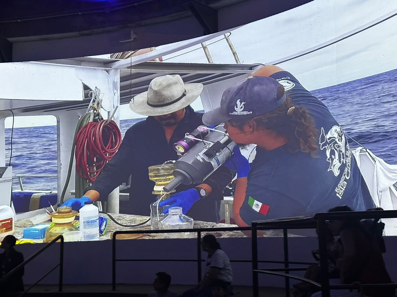Inauguran la exposición Visiones de Tiburones en el Gran Acuario Mazatlán