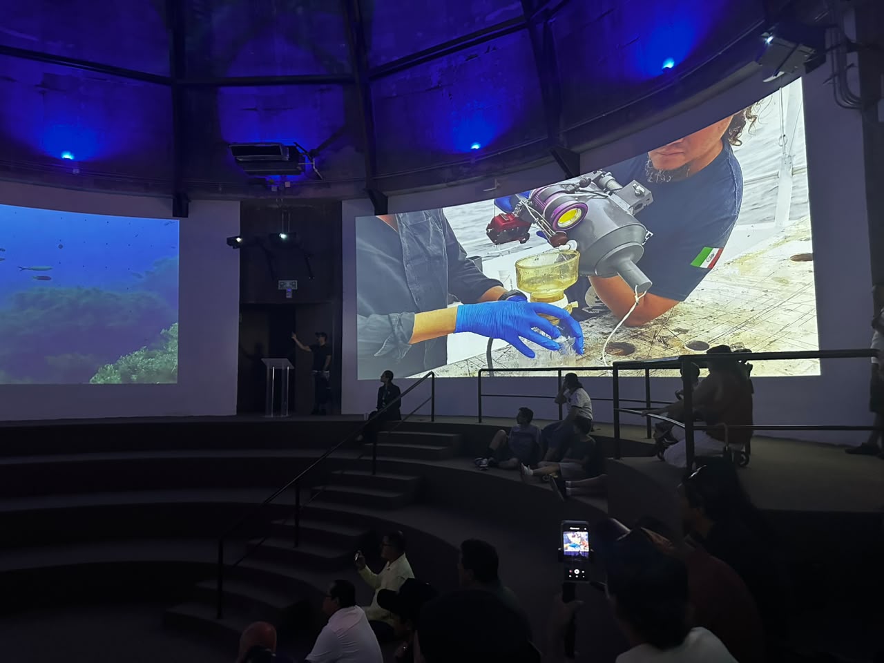 Inauguran la exposición Visiones de Tiburones en el Gran Acuario Mazatlán