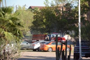 Incendio de palmeras en el Ingenio Azucarero de Los Mochis