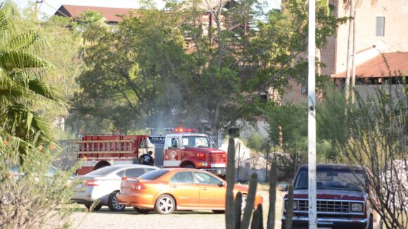 Incendio de palmeras en el Ingenio Azucarero de Los Mochis moviliza los cuerpos de auxilio