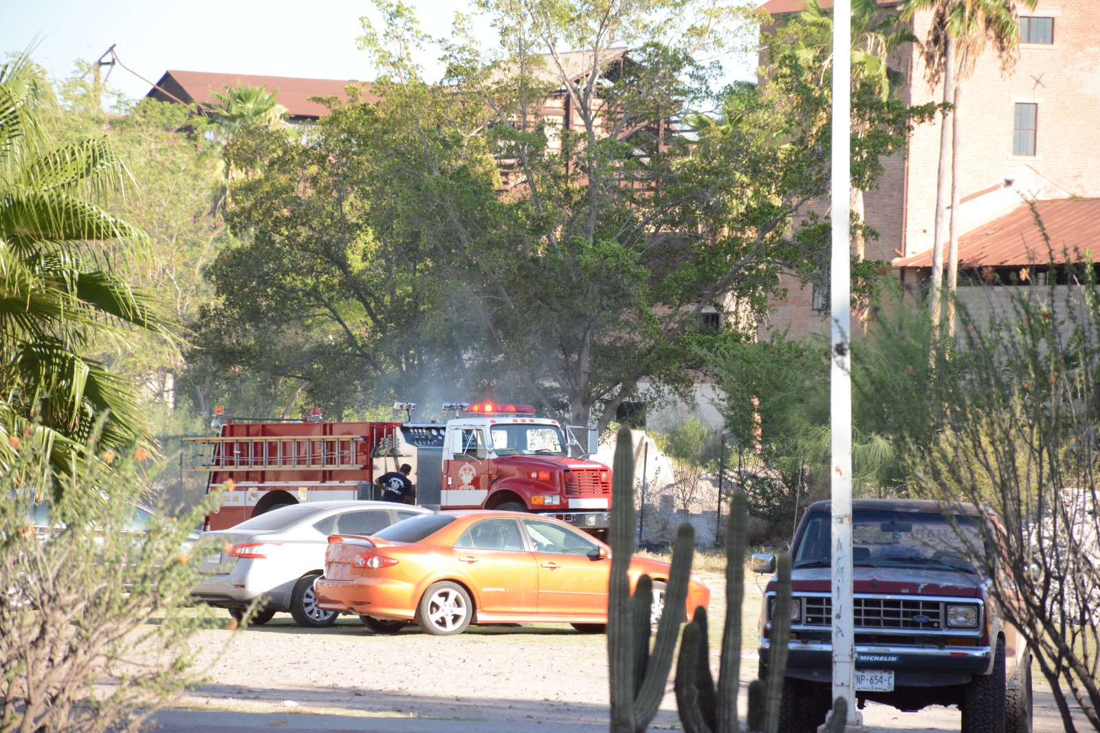 Incendio de palmeras en el Ingenio Azucarero de Los Mochis
