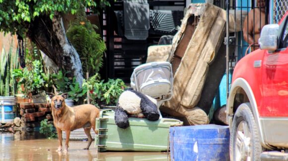 Llegarán este viernes los primeros apoyos para familias afectadas por las lluvias en Mazatlán, Sinaloa